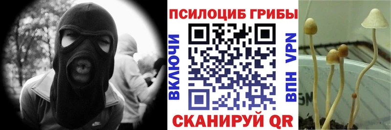 Купить закладки  Тюмень  Галлюциногенные грибы Magic Shrooms 
